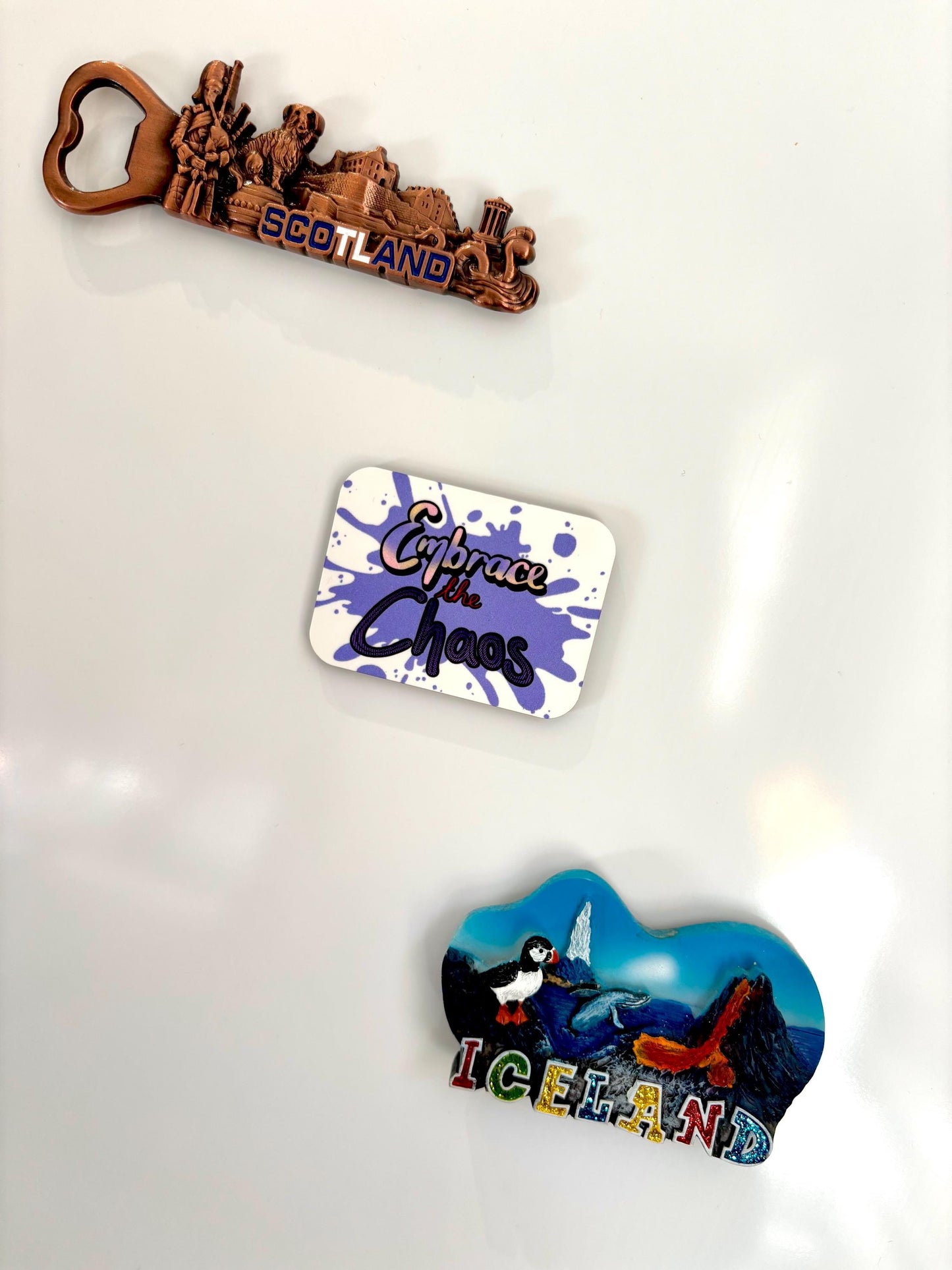 Embrace the Chaos Fridge Magnet